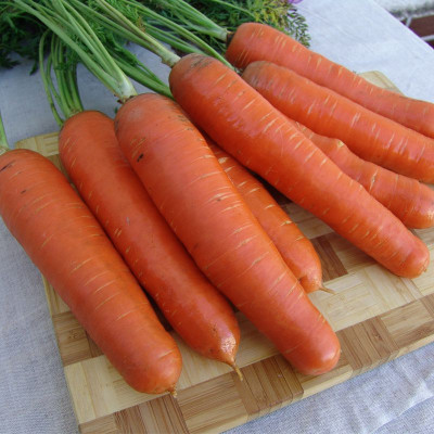 Морковь Анета F1 /  на ленте - 5 м.