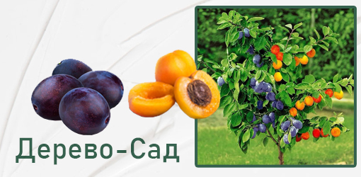 Рай у вашому саду