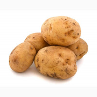 Овощи (Картофель, лук, чеснок)