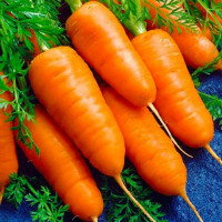 Морква на вагу