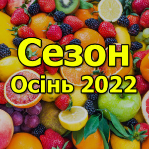Сезон предзаказов на Осень 2022