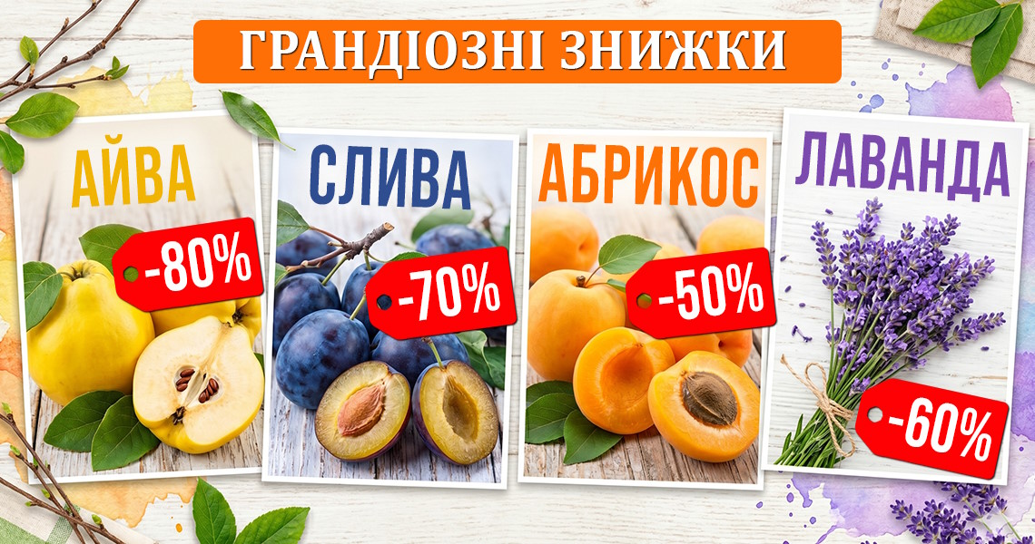 Травень sale