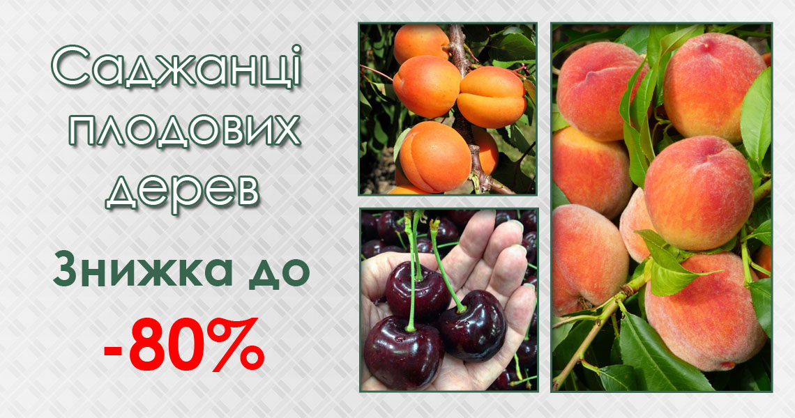 Плодові дерева