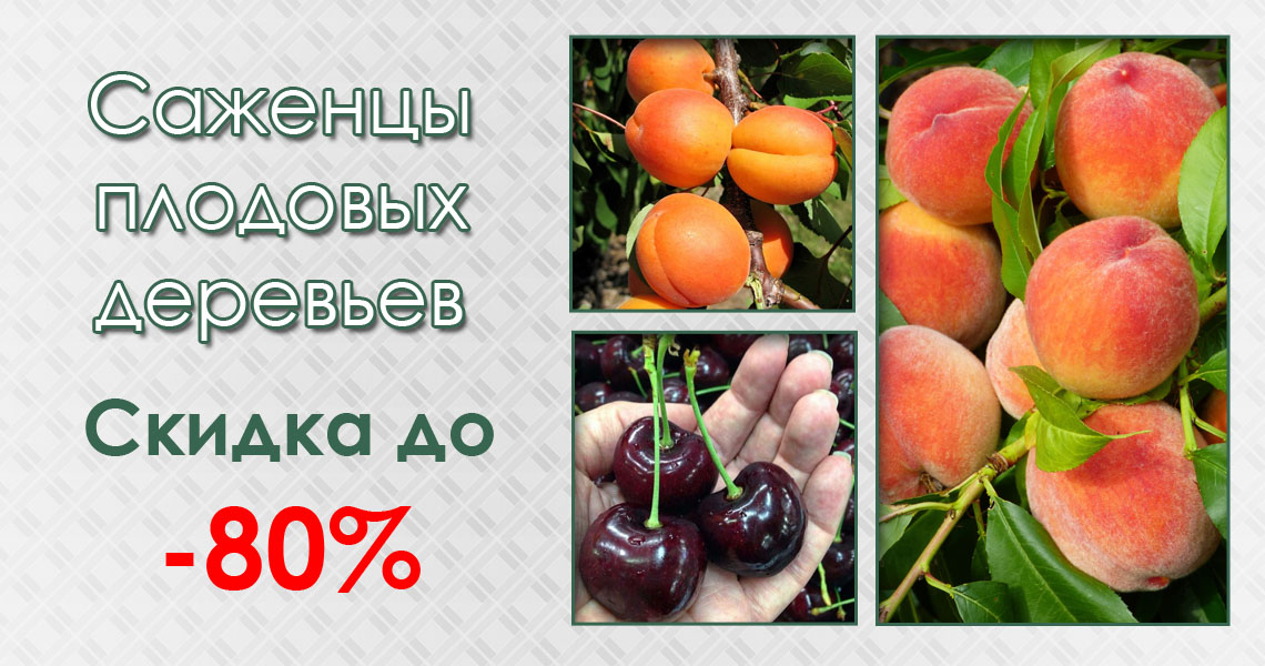 Плодовые деревья