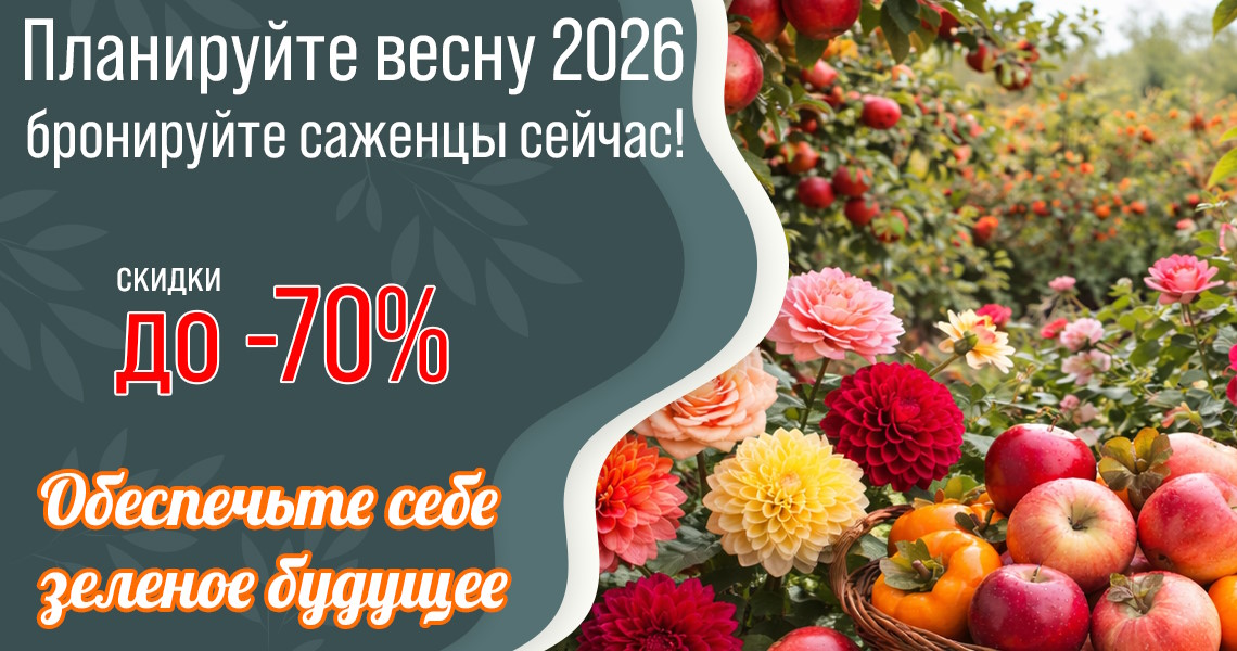 Сезон Весна 2026