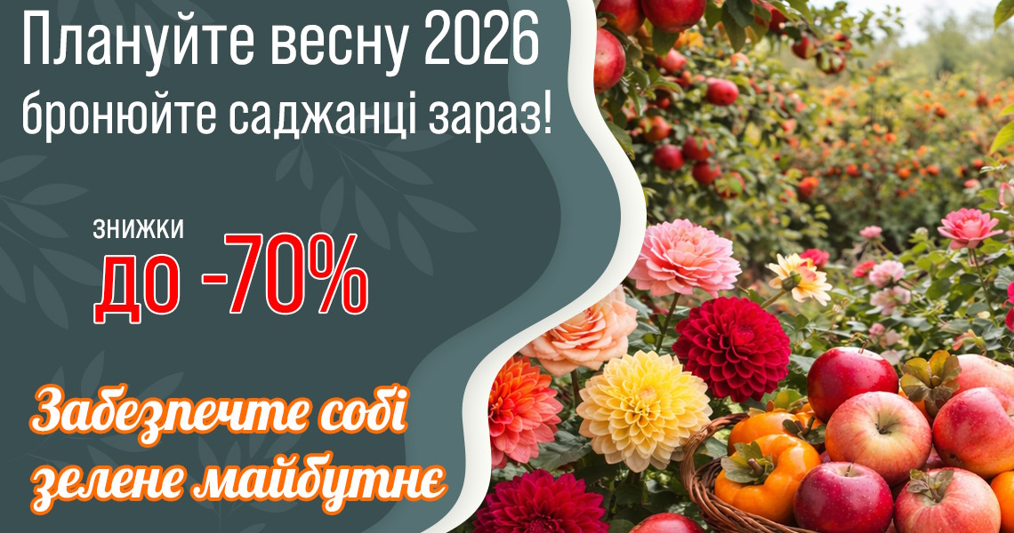 Сезон Весна 2026