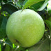 Яблоки Симиренко / плоды 2 кг.