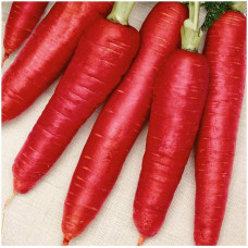 Морква червона довга без серцевини / на стрічці 5 м.